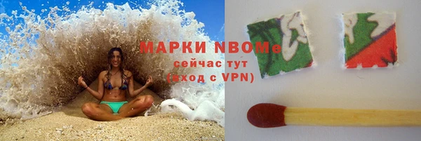 прущие грибы Богородицк