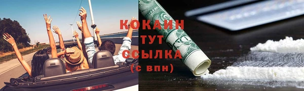 прущие грибы Богородицк
