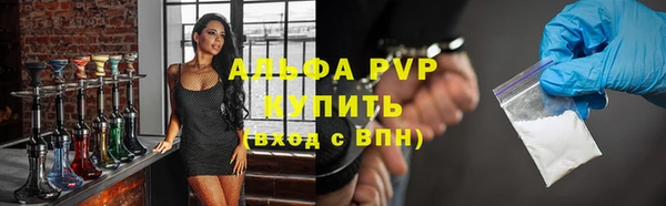 прущие грибы Богородицк