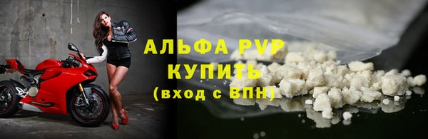 стаф Богородск