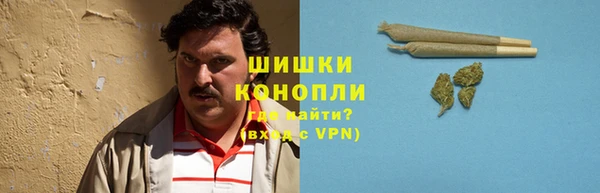 молекула духа Бугульма