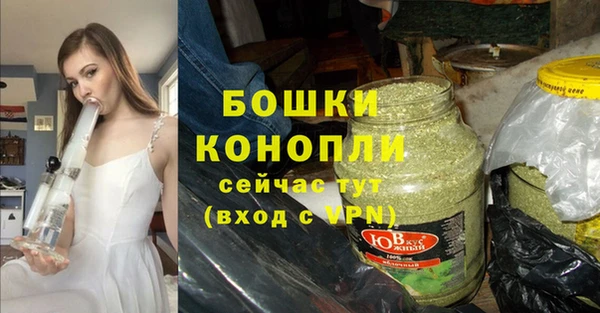 стаф Богородск