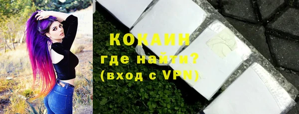 стаф Богородск